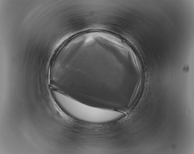X0000114391127200911061509