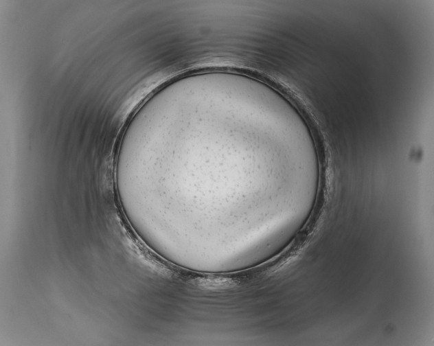 X0000114391129200911061509