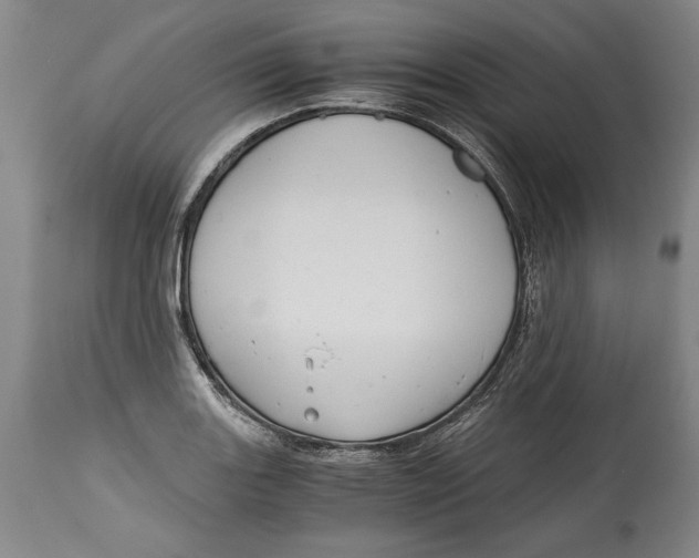 X0000114391131200911061509