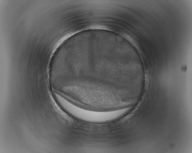 X0000114391133200911061509