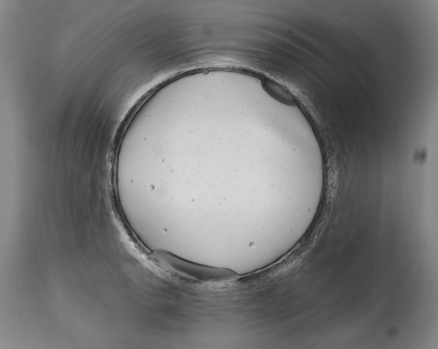 X0000114391134200911061509