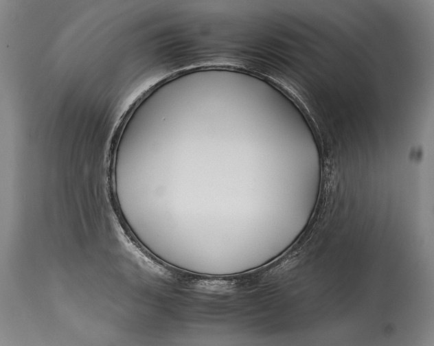 X0000114391135200911061509