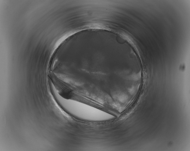 X0000114391141200911061509
