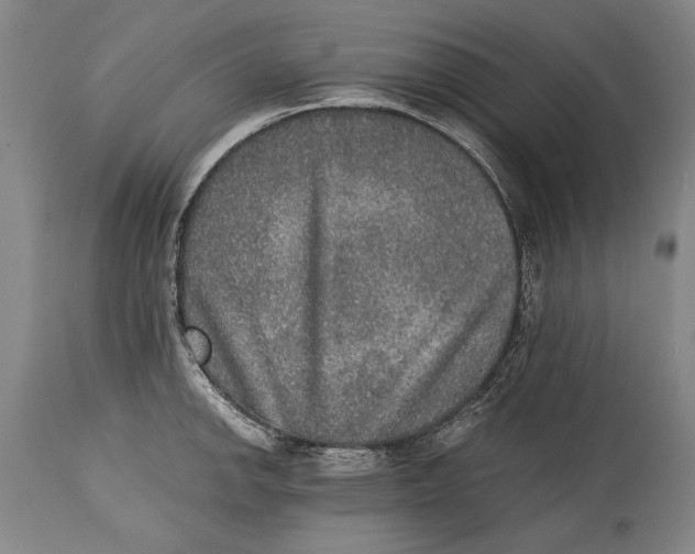 X0000114391142200911061509