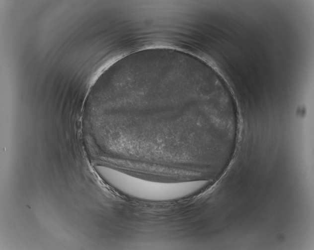 X0000114391145200911061509