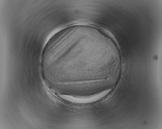 X0000114391146200911061509