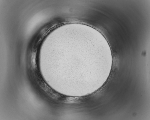 X0000114391150200911061509