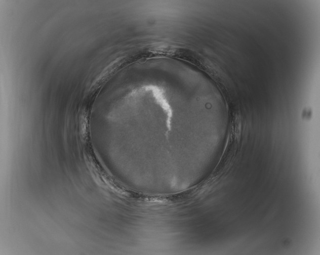 X0000114391154200911061508