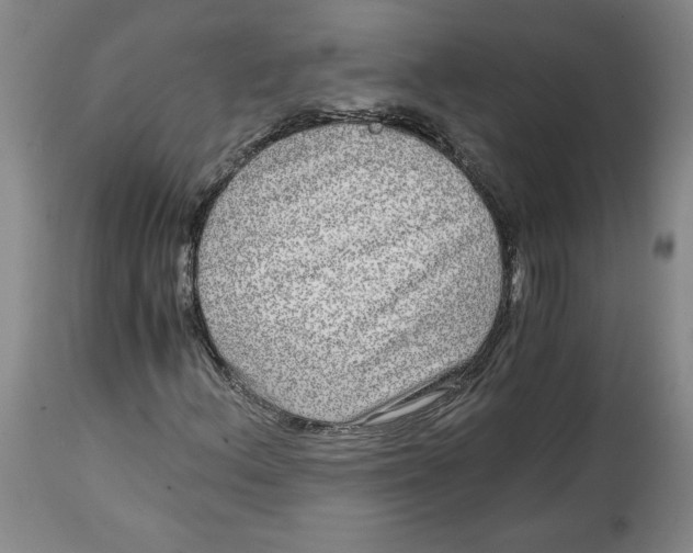 X0000114391156200911061508