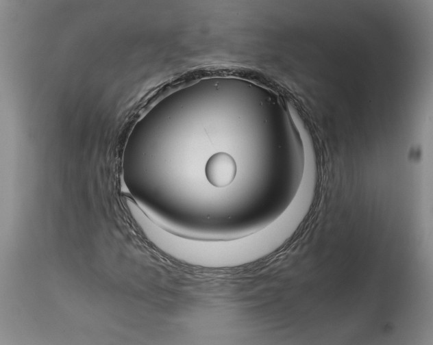 X0000114391157200911061508