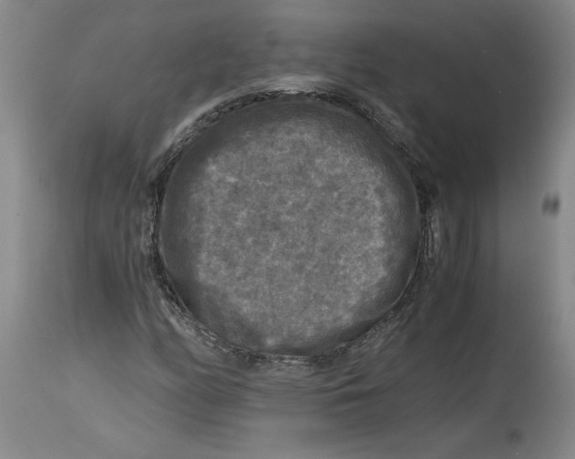 X0000114391158200911061508