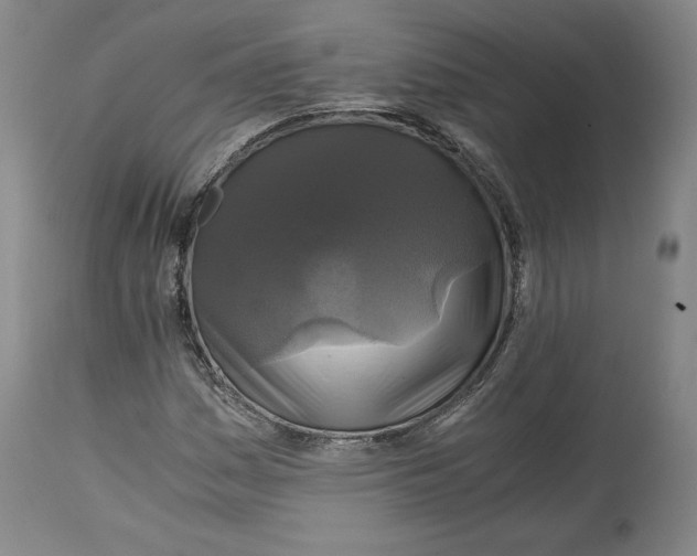 X0000114391161200911061508