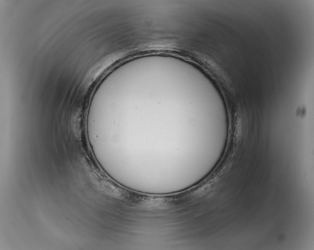 X0000114391162200911061508