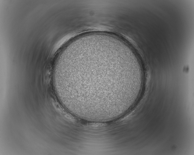 X0000114391163200911061508