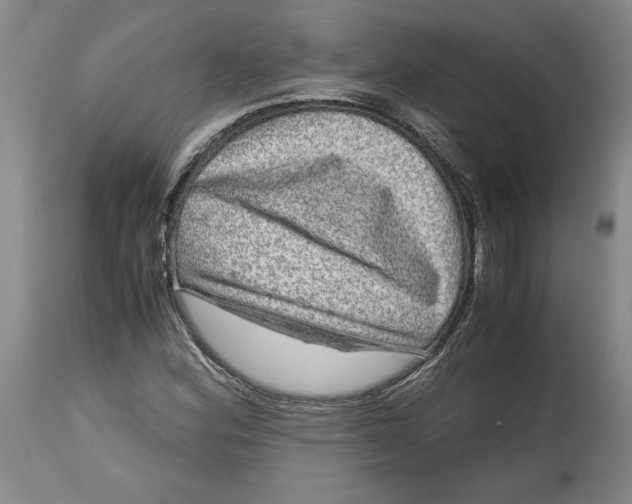 X0000114391164200911061508