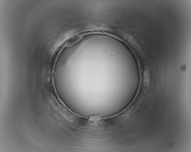 X0000114391165200911061508