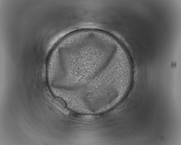 X0000114391167200911061508