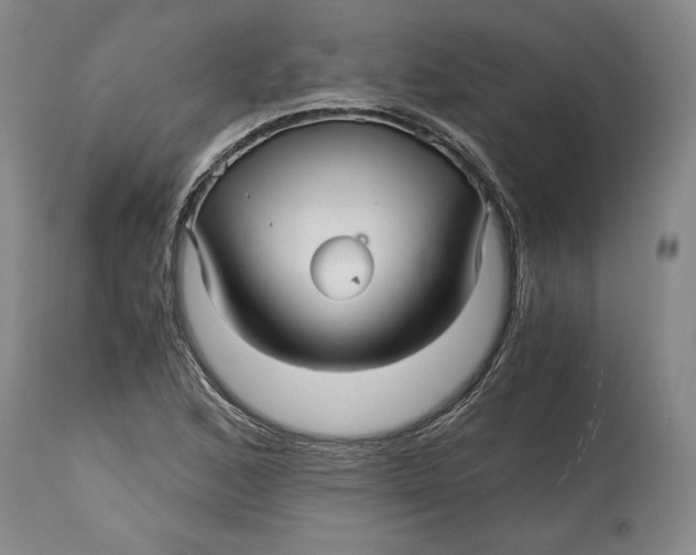 X0000114391168200911061508