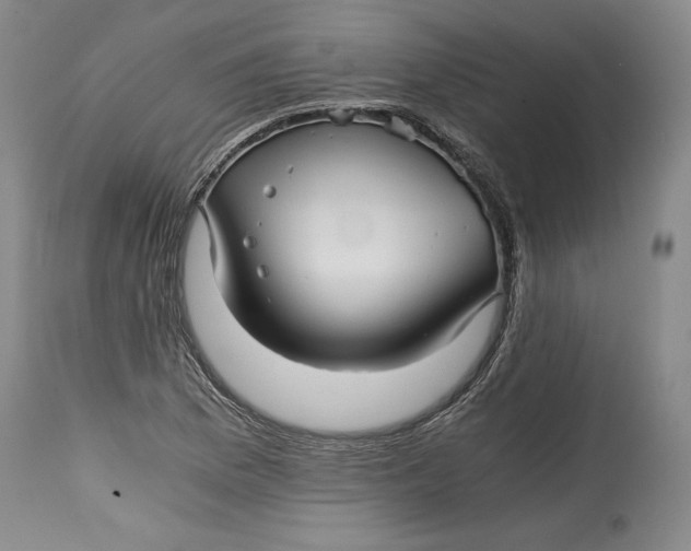 X0000114391169200911061508
