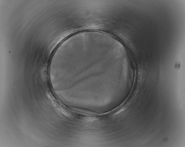 X0000114391170200911061508