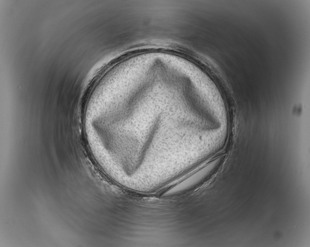 X0000114391172200911061508