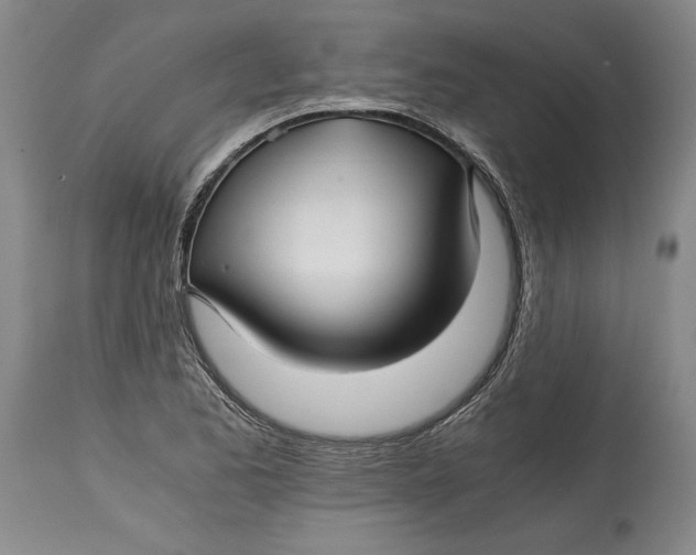 X0000114391173200911061508