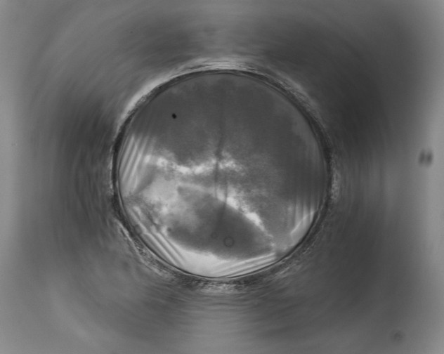 X0000114391174200911061508