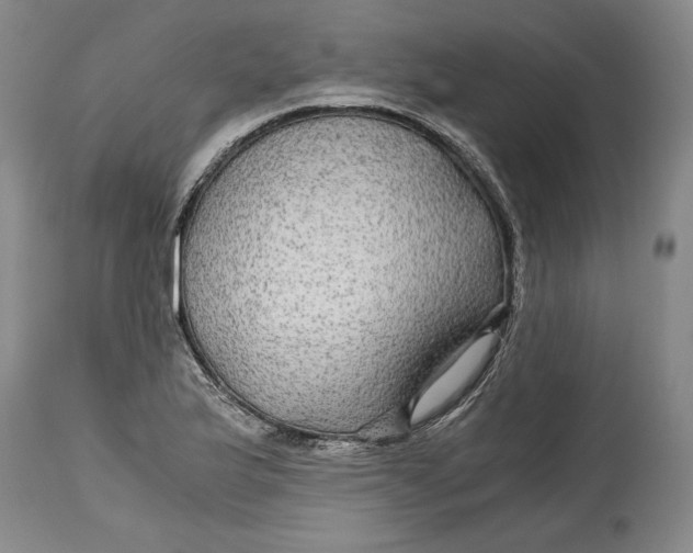 X0000114391175200911061508