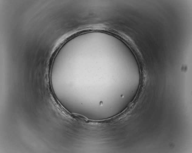 X0000114391176200911061508