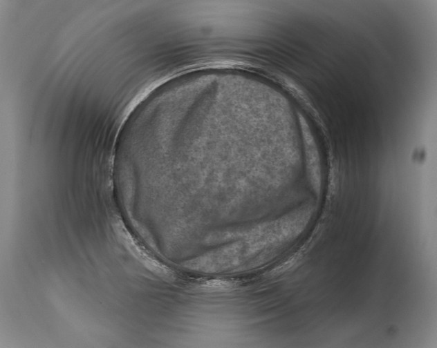 X0000114391178200911061508