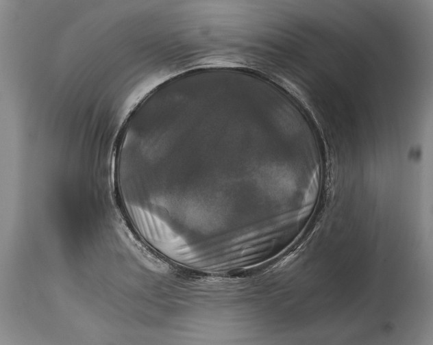 X0000114391179200911061508