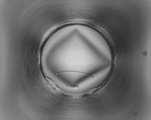 X0000114391180200911061508