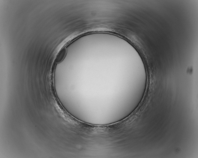 X0000114391181200911061508