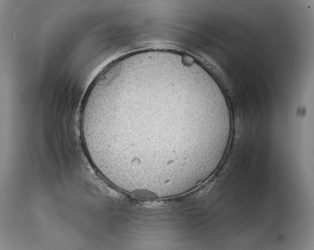 X0000114391182200911061508