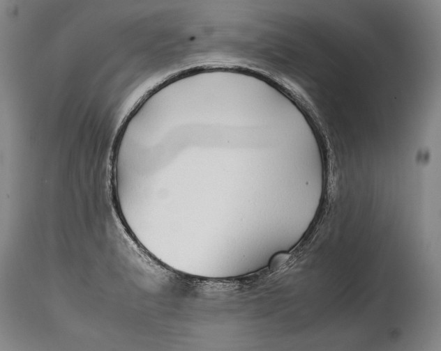 X0000114391183200911061508