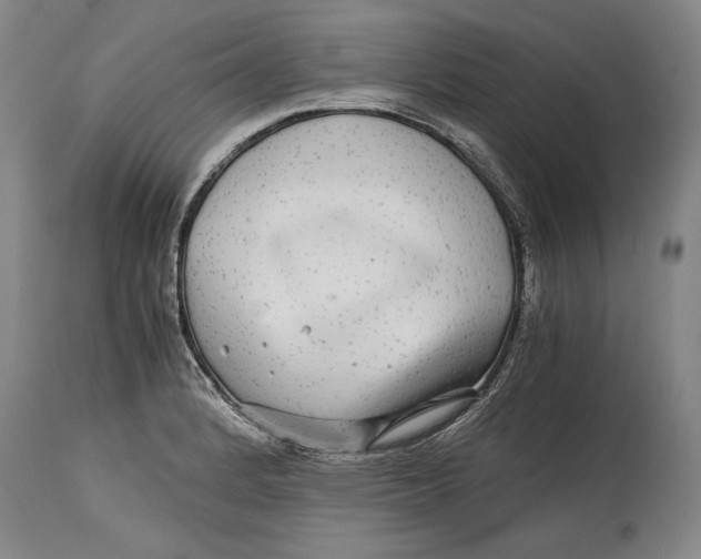X0000114391184200911061508