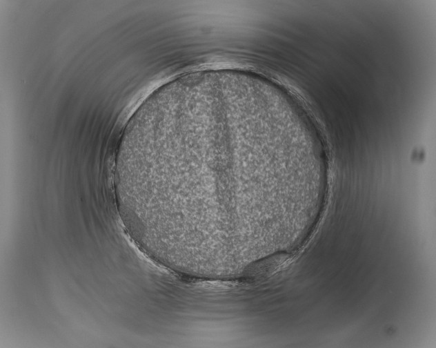 X0000114391185200911061508