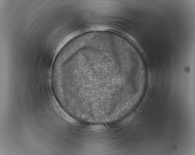 X0000114391186200911061508