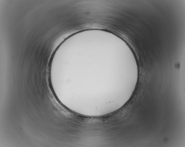 X0000114391187200911061508
