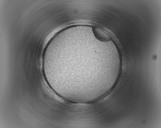 X0000114391188200911061508