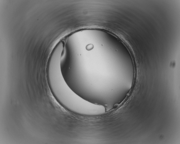 X0000114391189200911061508