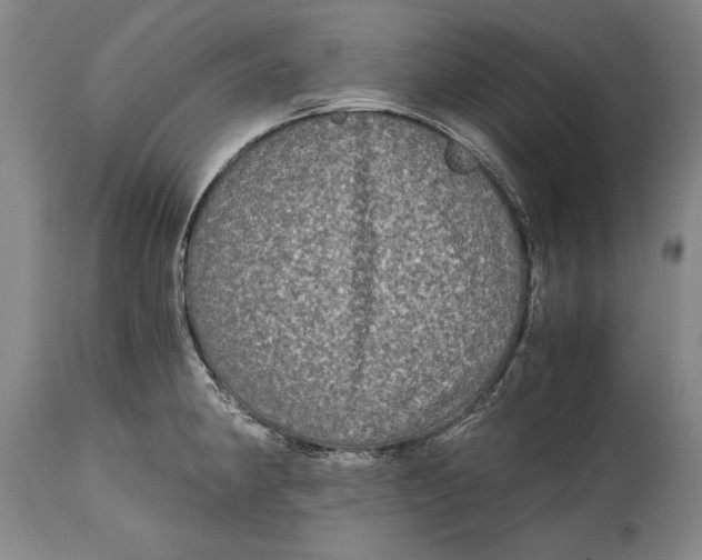 X0000114391190200911061508