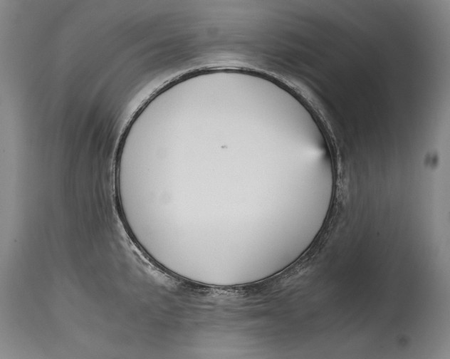 X0000114391191200911061508