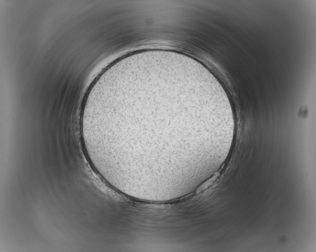 X0000114391192200911061508