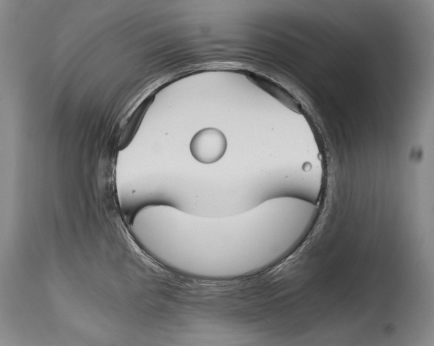 X0000114391193200911061508