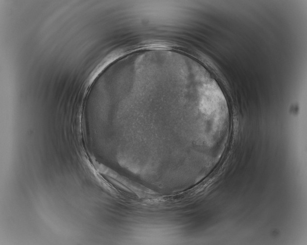 X0000114391194200911061508