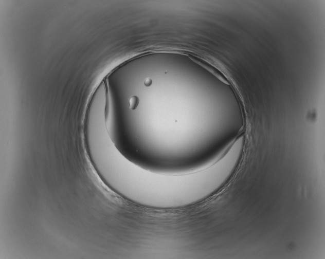 X0000114391195200911061508