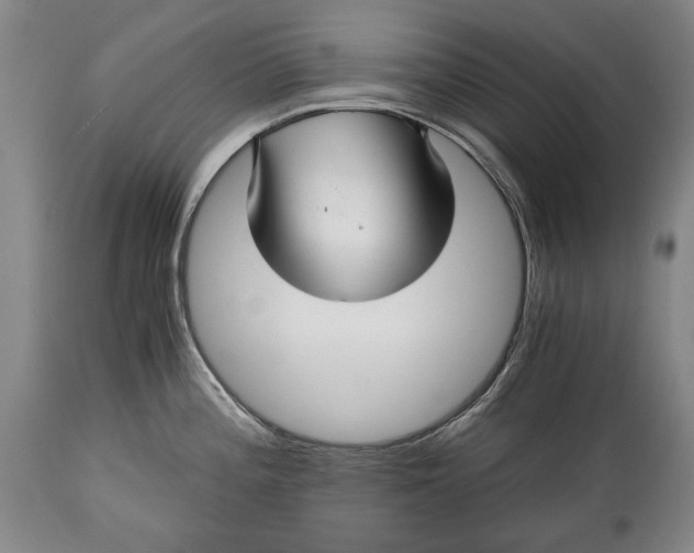 X0000114391196200911061508