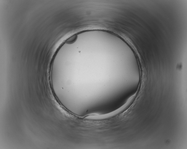 X0000114391197200911061508
