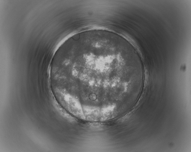 X0000114391198200911061508